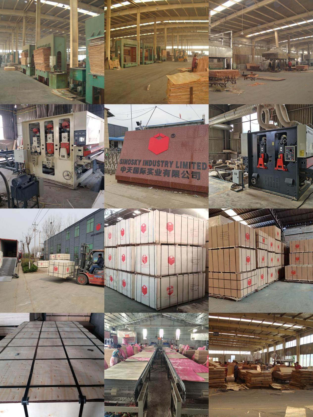 285192027_1178180729693508_436402358319457113_n_conew5