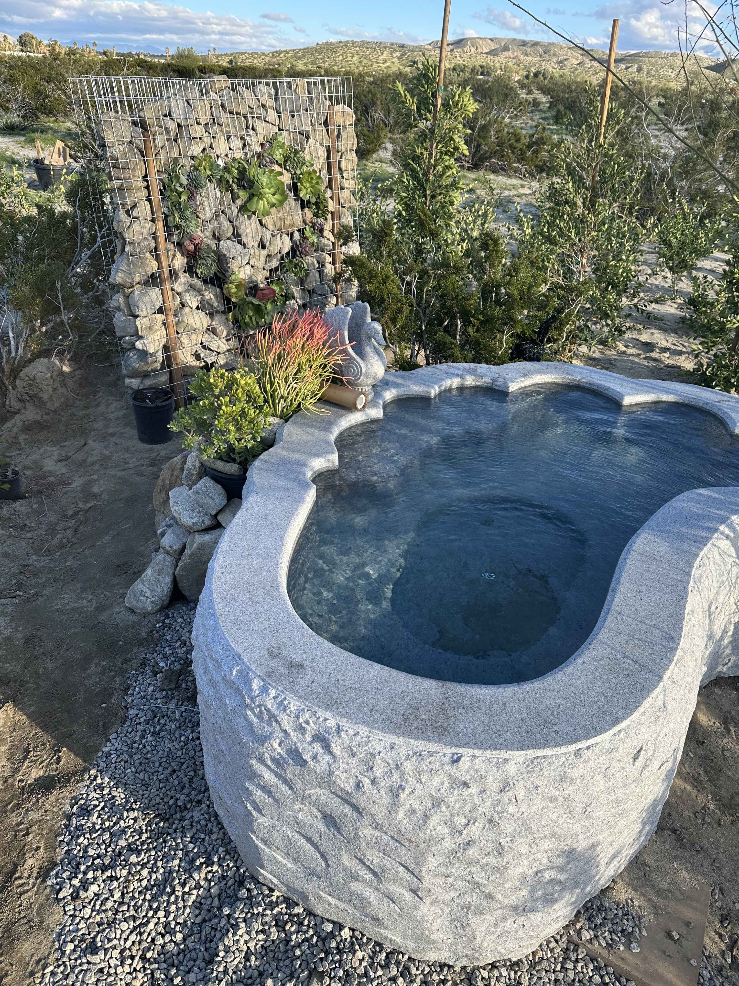 The Foot Natural Hot Springs Pool