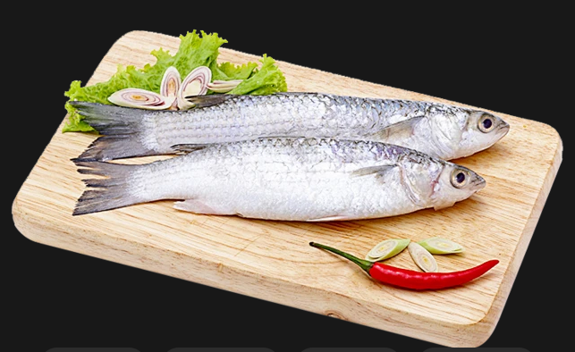 Fish-2