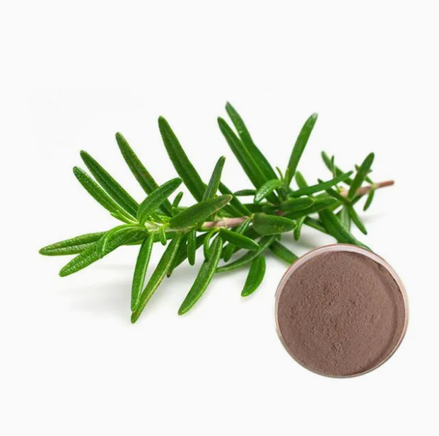 Affordable Rosemary Extract 99% pure