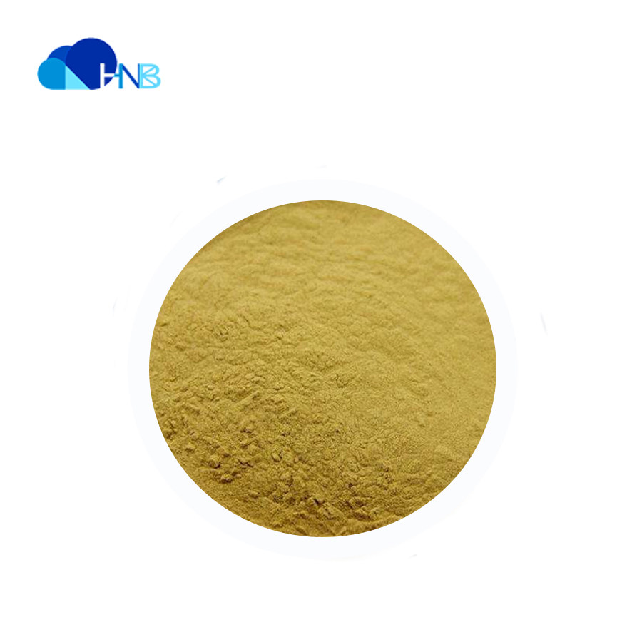 Pueraria extract Puerarin 10% -98% Pueraria flavonoids 40%-60% Powder