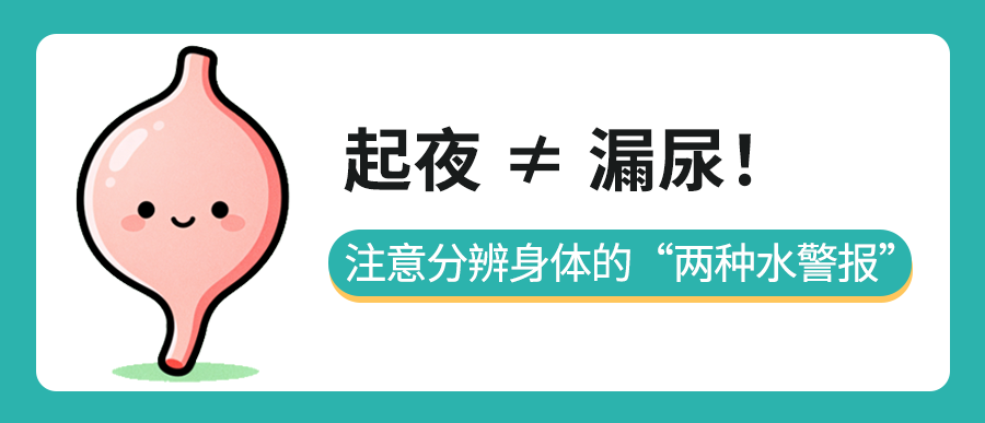 起夜 ≠ 漏尿！医生教你分辨身体的“两种水警报”