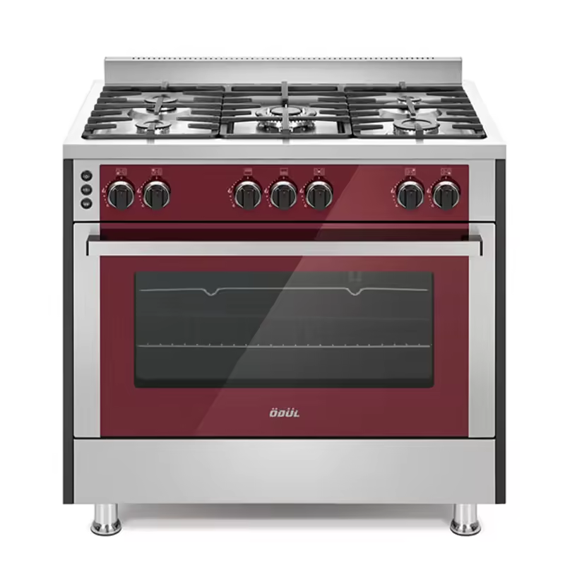 COOKER SS6522