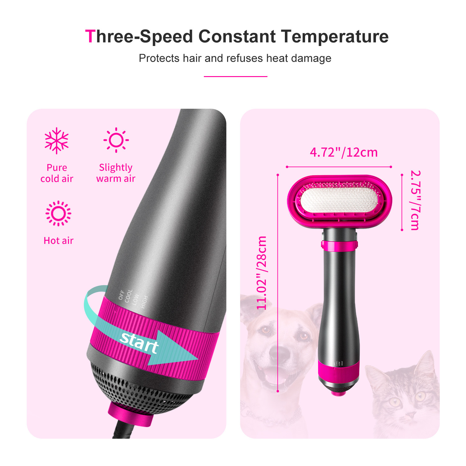 Hot air brush for pet