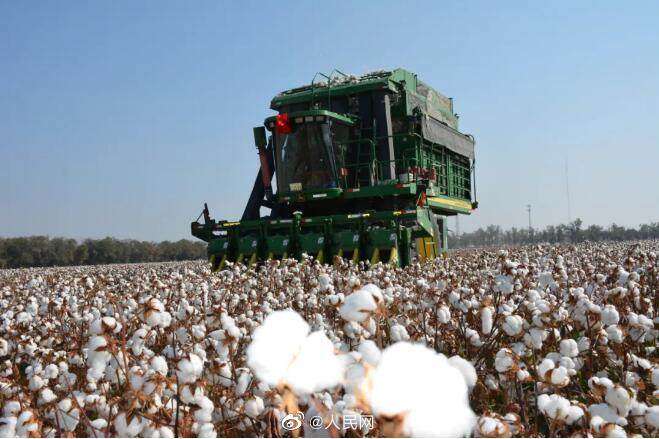 Xinjiang cotton acquisition is coming to an end