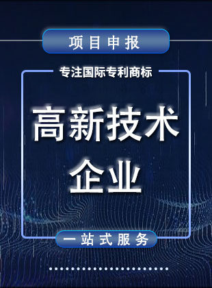 高新技术企业