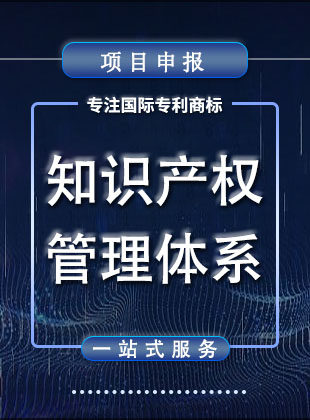 知识产权管理体系