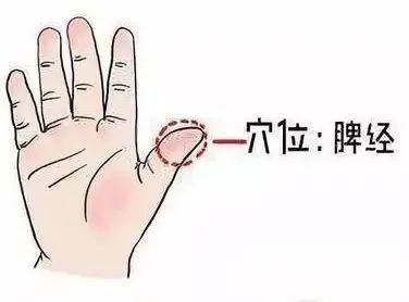 的推拿手法"清肝经""补脾经""补肾经"肝,脾,肾三脏功能小儿的生长发育