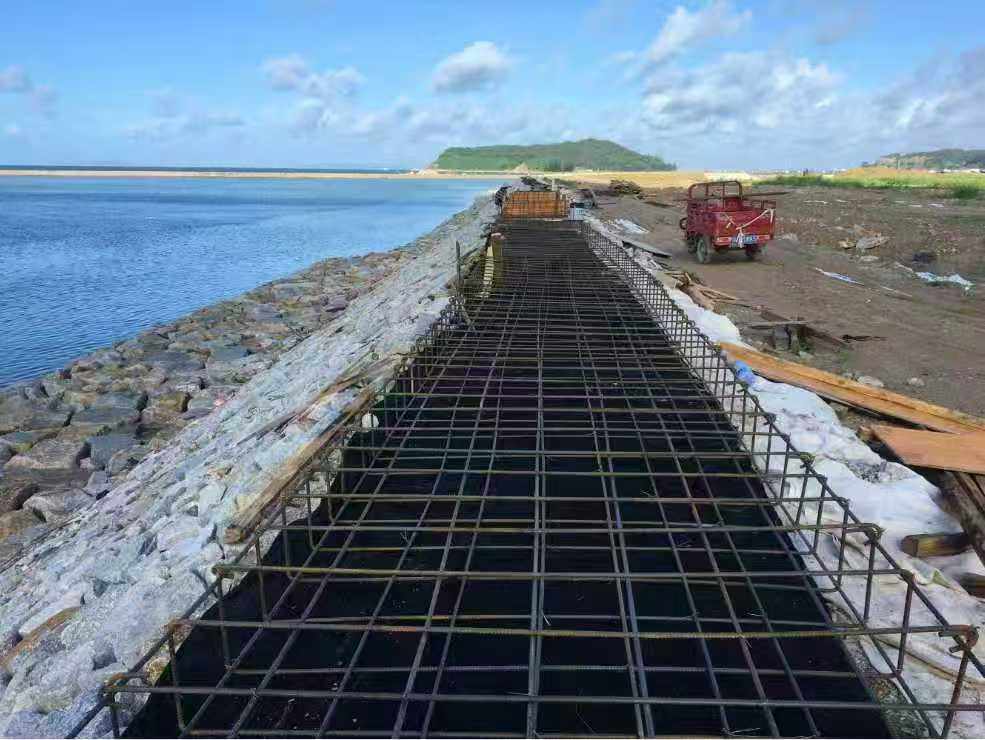 广东精艺建设集团有限公司