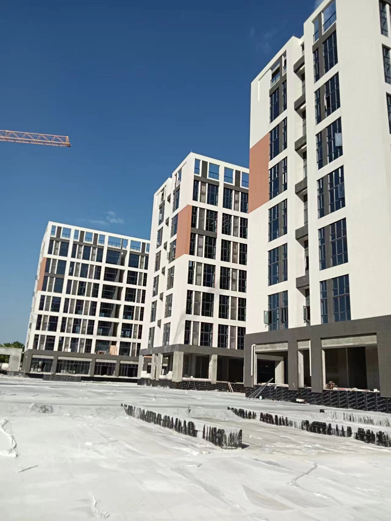 广东精艺建设集团有限公司