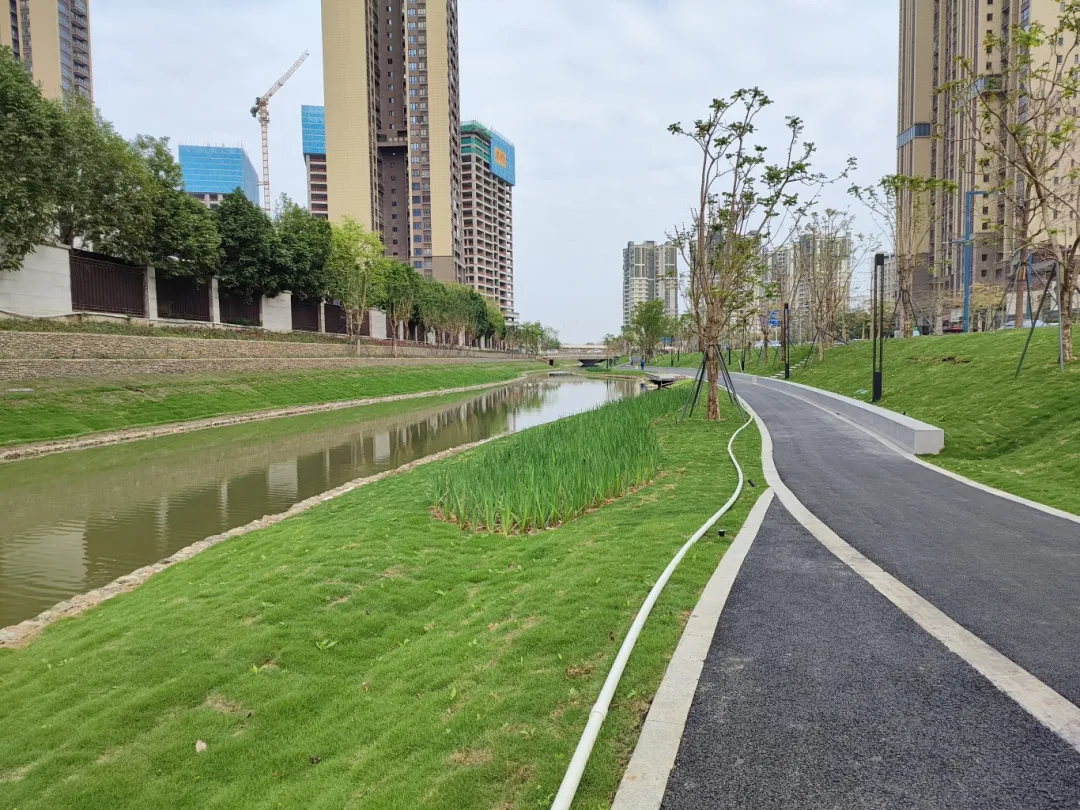 广东精艺建设集团有限公司