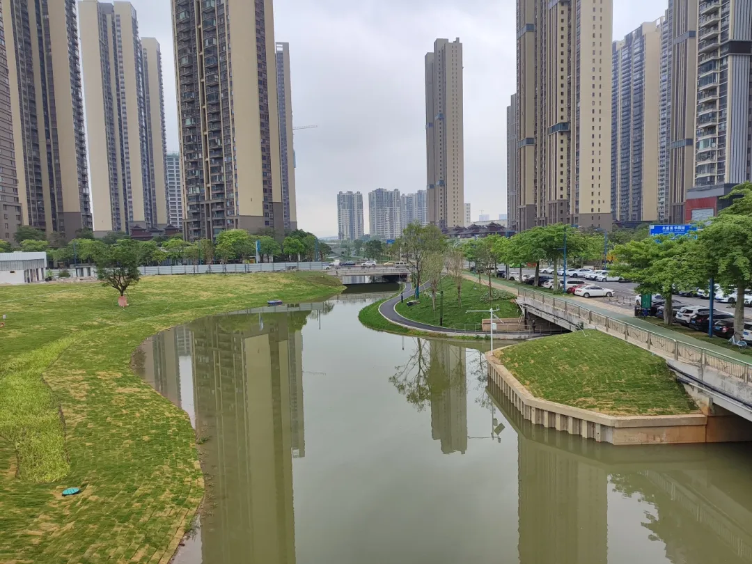 广东精艺建设集团有限公司