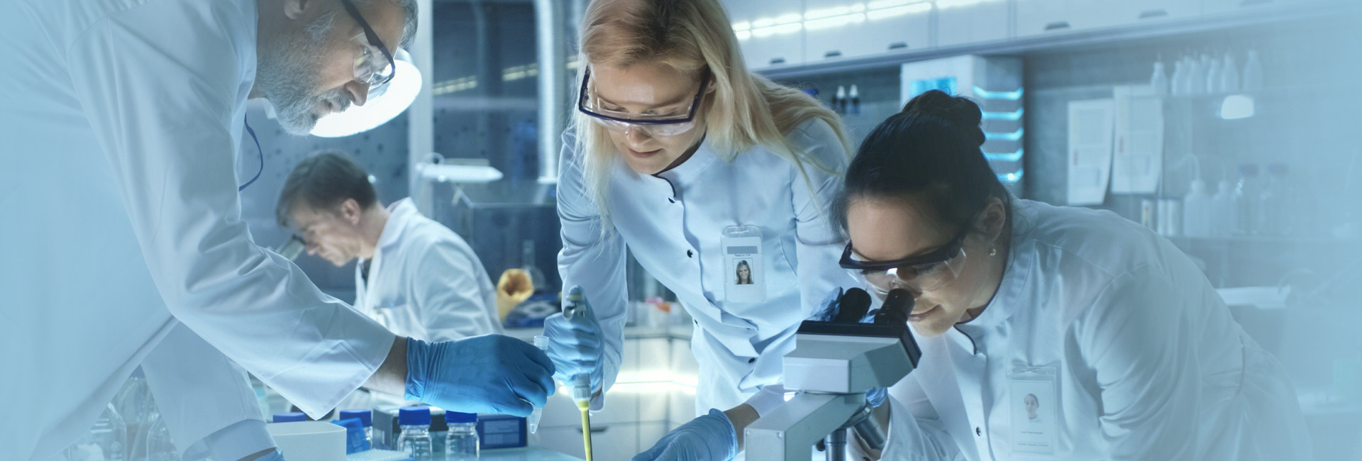 广东柏文生物科技股份有限公司