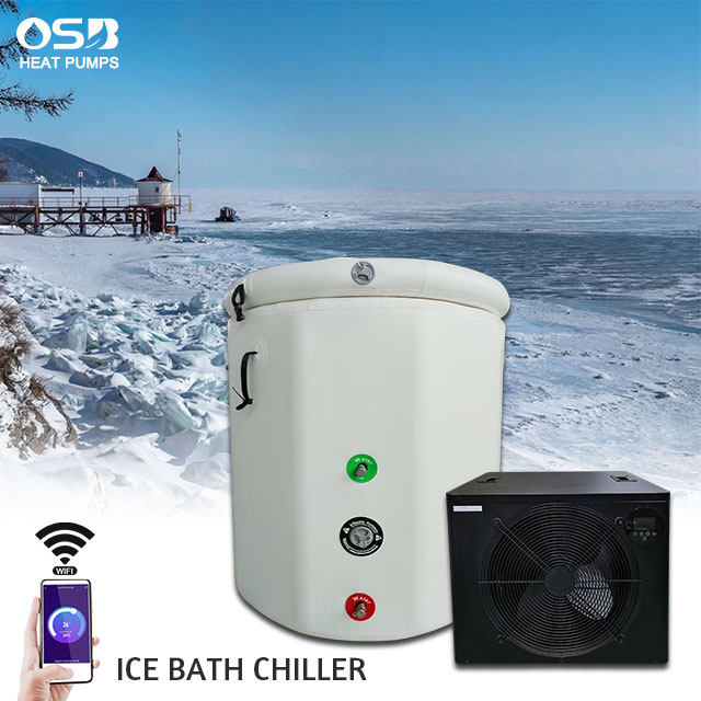 220V 50Hz 1/3 Hp Cold Plunge Water Chiller for Sports Recovery