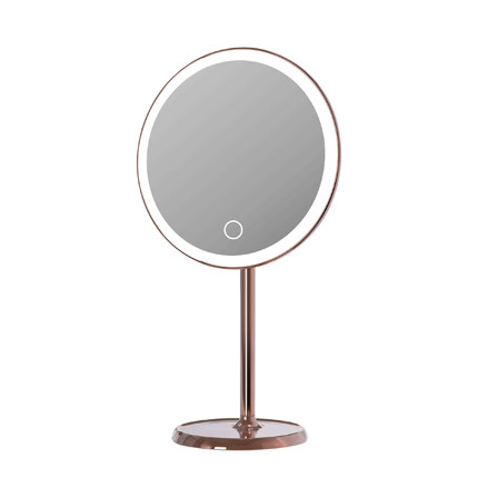 Metal LED Stand Mirror