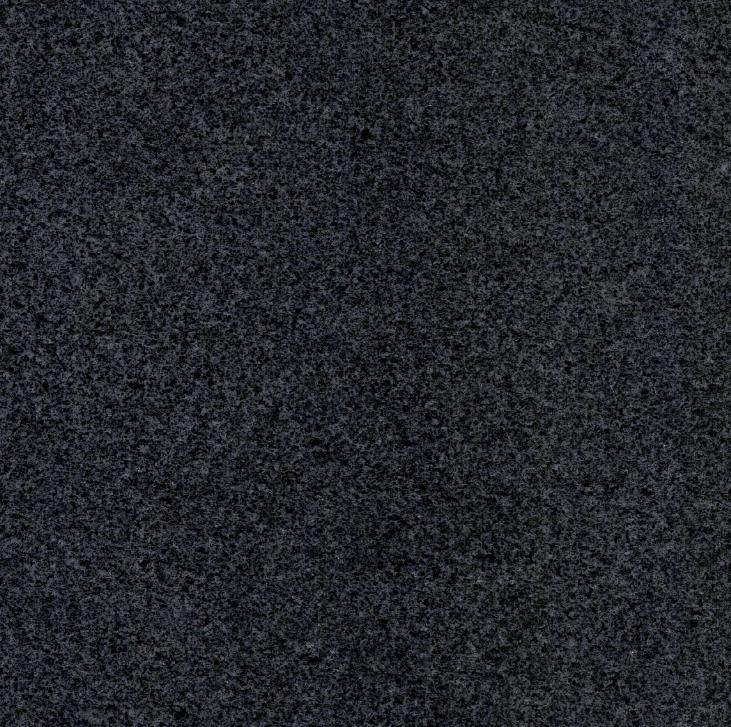 G654 Sesame Black Granite Padang Dark Granite Cobra Stone