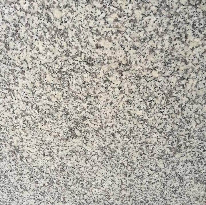 G602 Bianco Sardo Grey White Granite