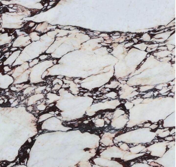 Calacatta Viola Marble