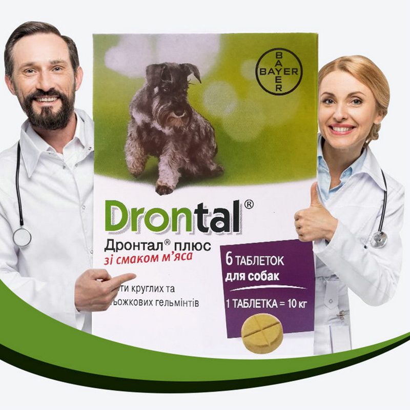 drontal plus dog wormer