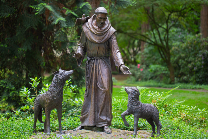 shutterstock_1150626023