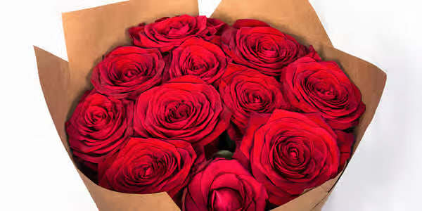 2 Dozen Red Roses