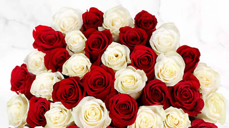 3 dozen Roses white and red