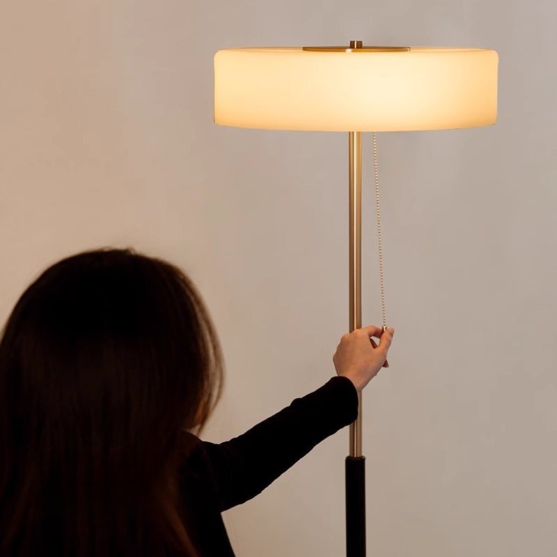 French mid-century floor lamp