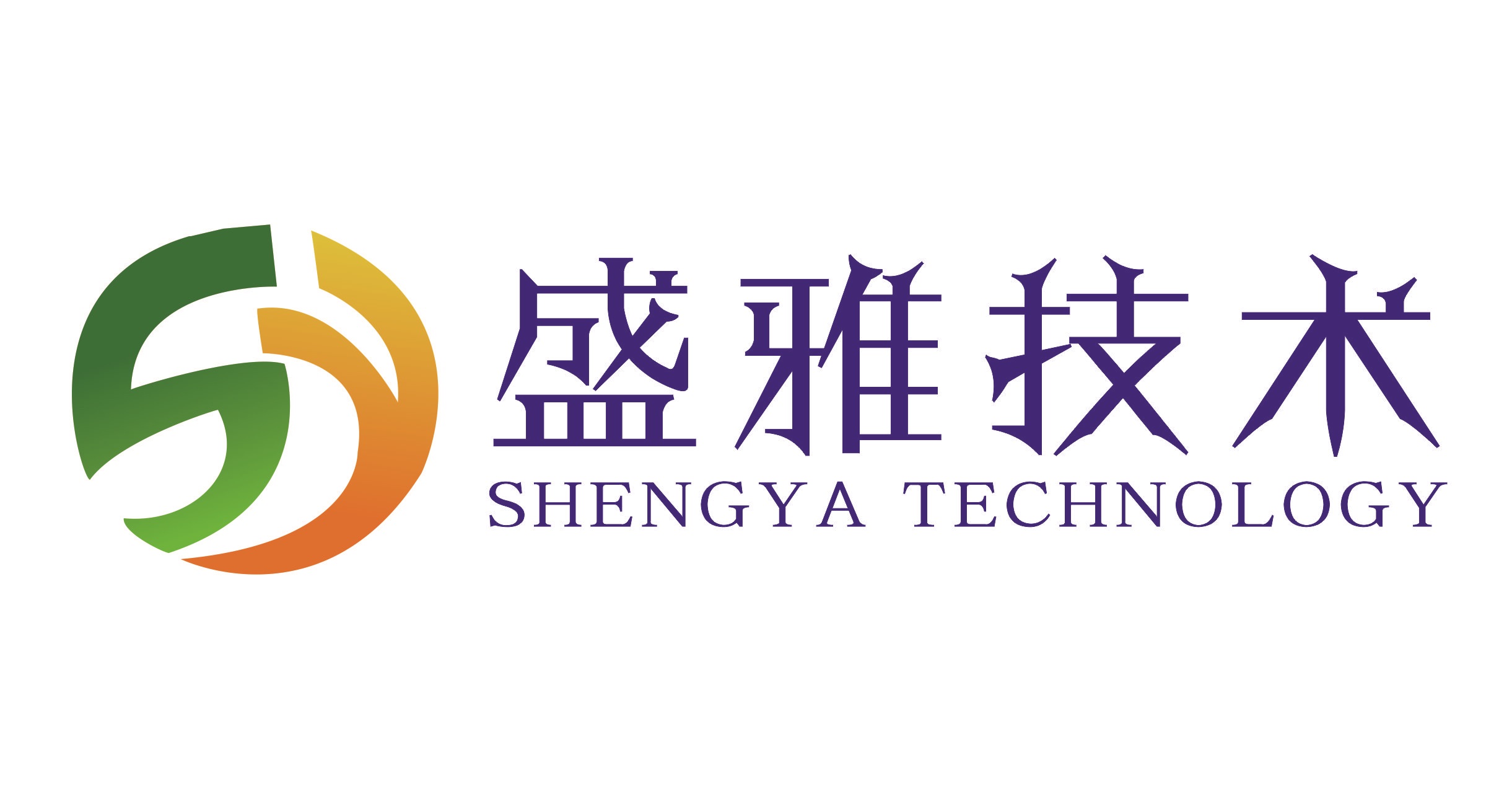 上海盛雅技术有限公司