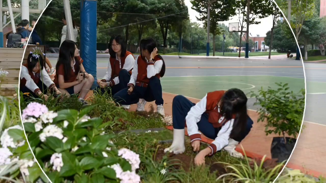 我在校园有块地：把春天种进泥土，让成长看得见！