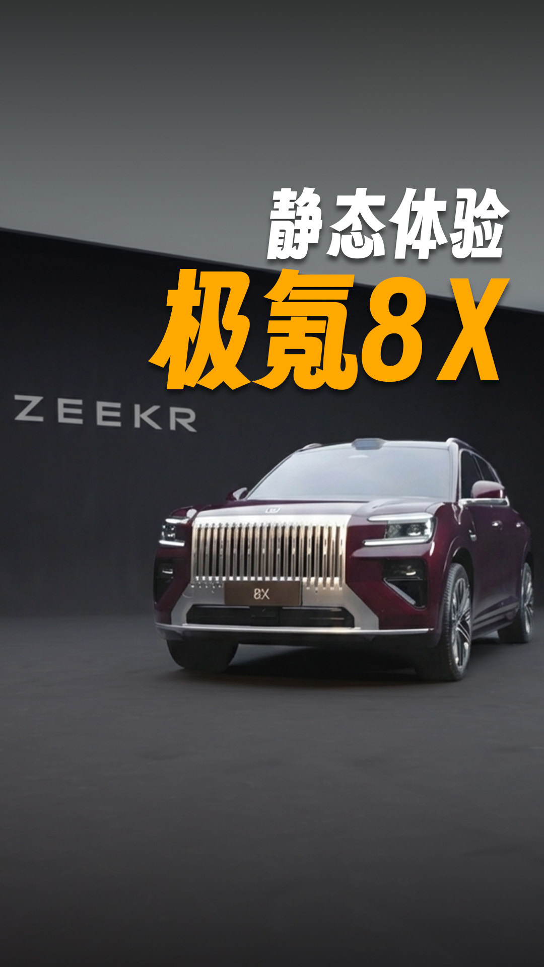 极氪8X静态解禁：好的刚刚好