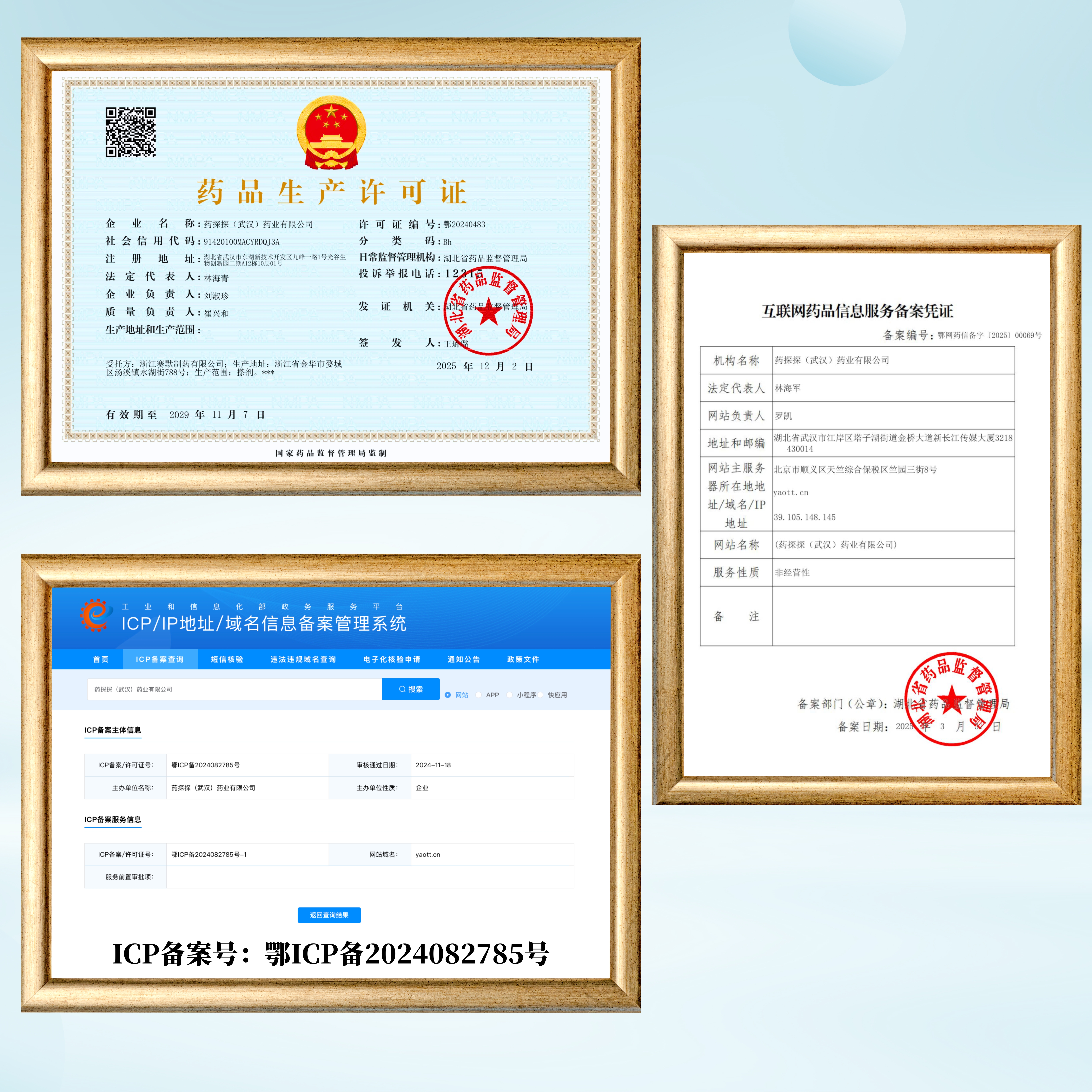 药探探（武汉）药业有限公司