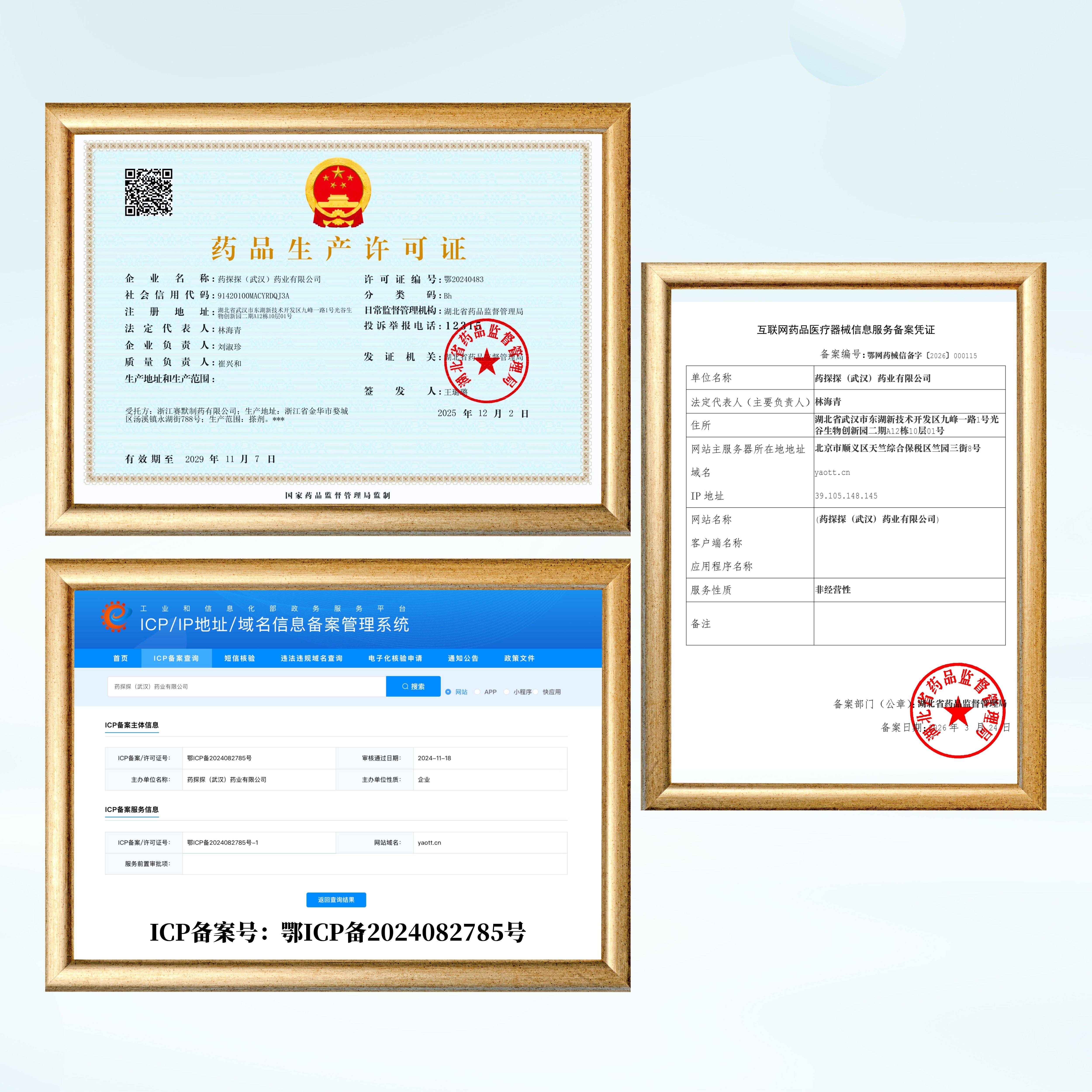 药探探（武汉）药业有限公司