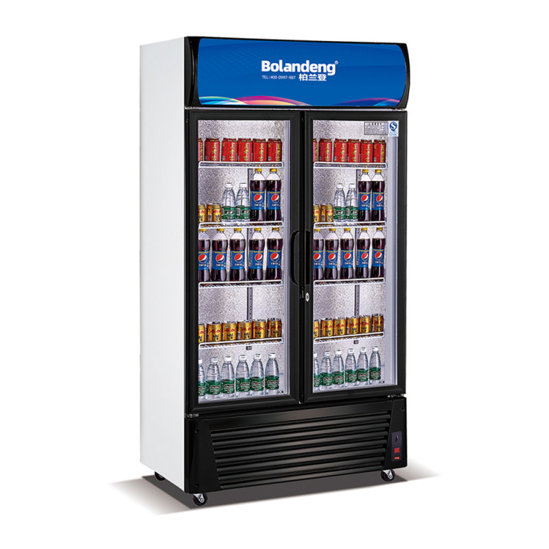 Best display cooler Showcase for Beverage