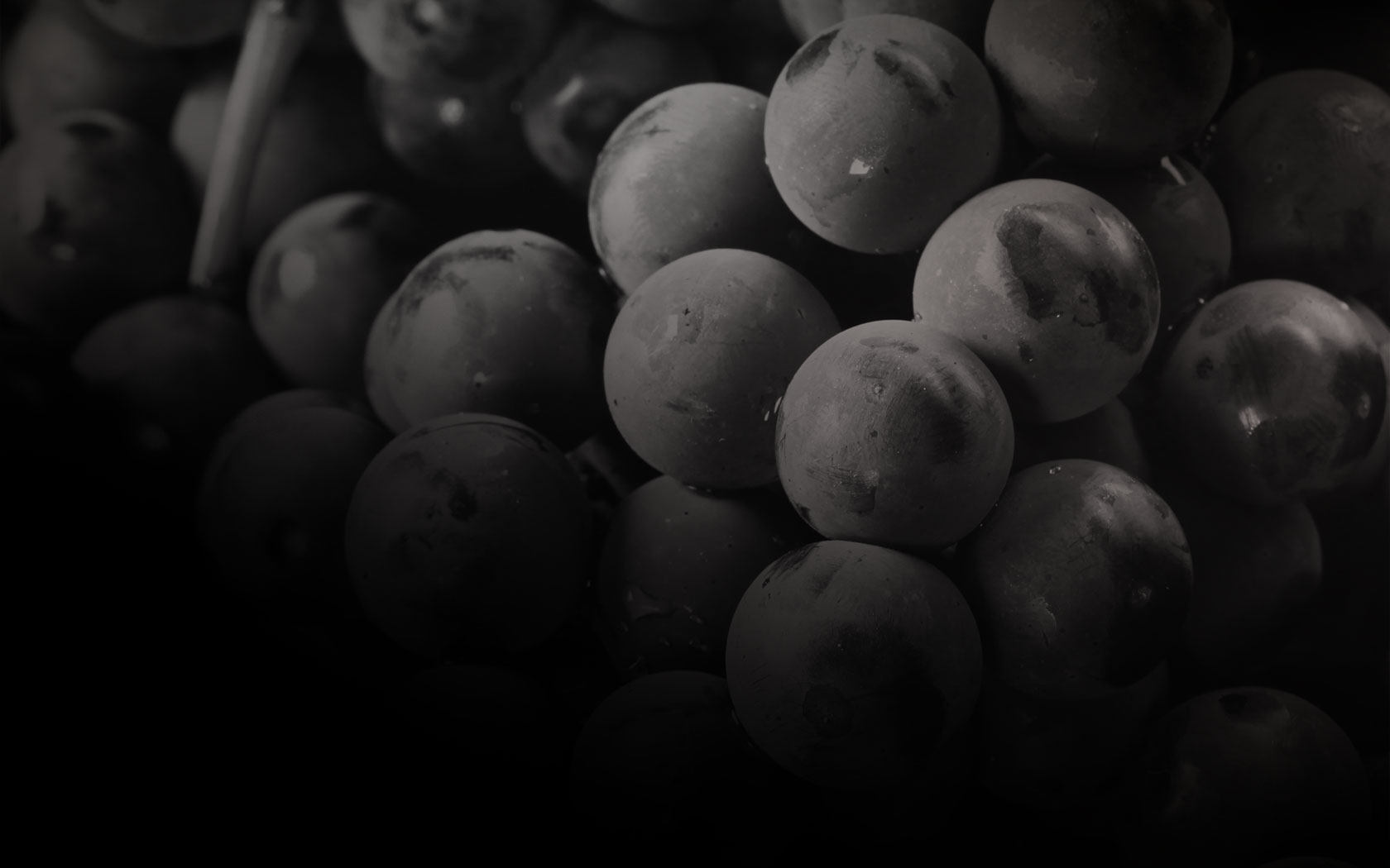 一升三酉文化传播有限公司