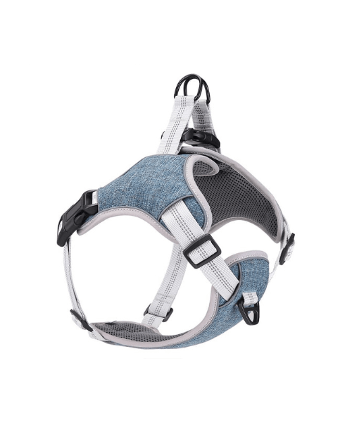 Reflective Adjustable Dog Harness – Blue