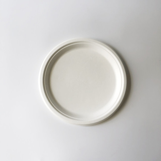 10'' Bagasse Round Plate