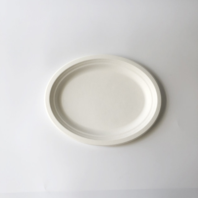 12.5'' Bagasse Oval Plate