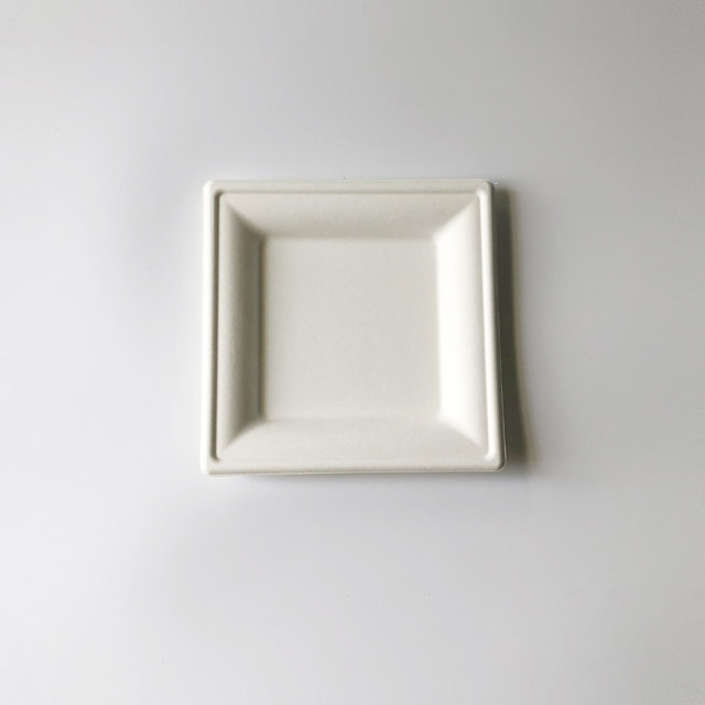 16cm Bagasse Square Plate