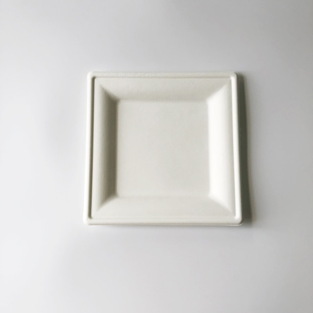 20cm Bagasse Square Plate