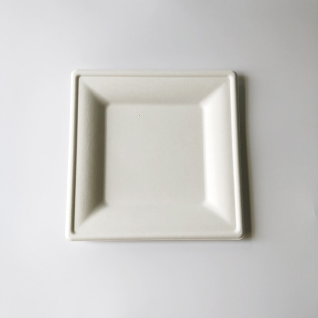 26cm Bagasse Square Plate