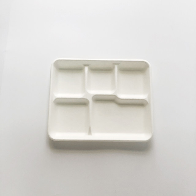 Shallow 5-Compt Rectangular Bagasse Tray