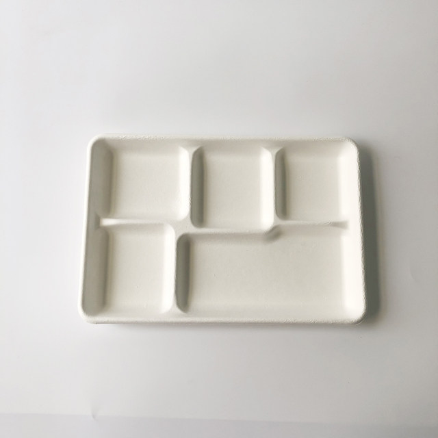 Big 5-Compt Rectangular Bagasse Tray