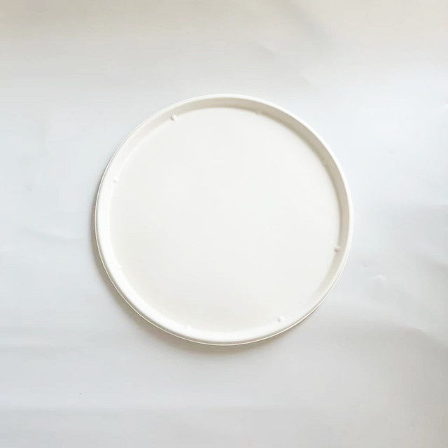 32cm Round Bagasse Pizza Plate