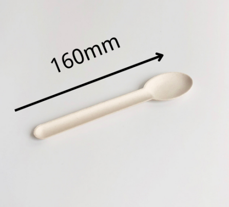 6 inch Bagasse Spoon