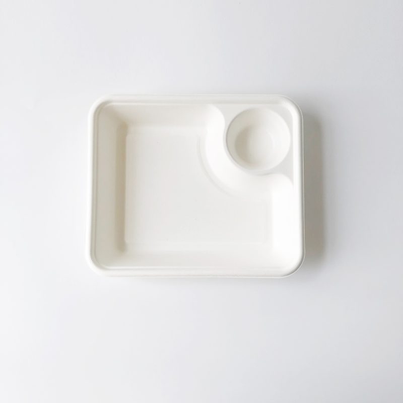 Bagasse container with dress holder