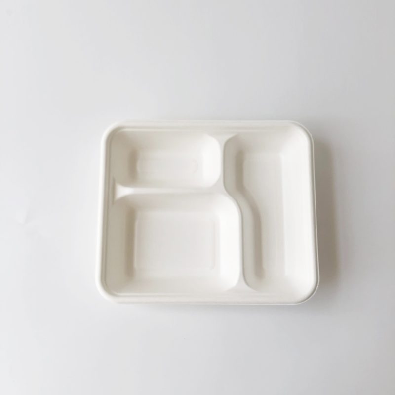 3 Compartment Bagasse Container