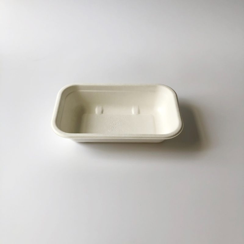 500ml Bagasse Container