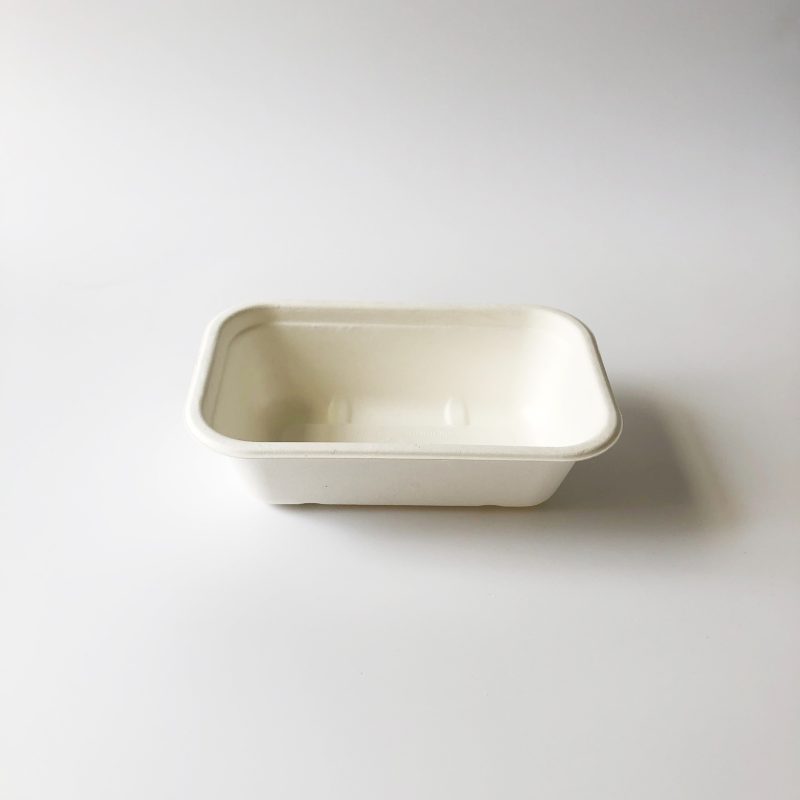 750ml Bagasse Container