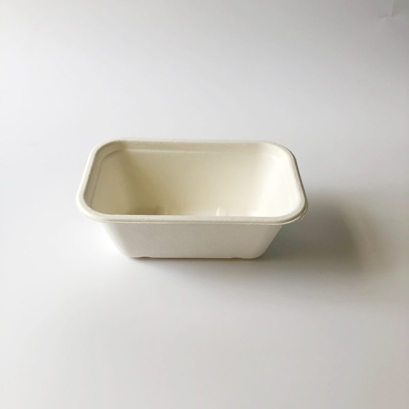 1000ml Bagasse Container