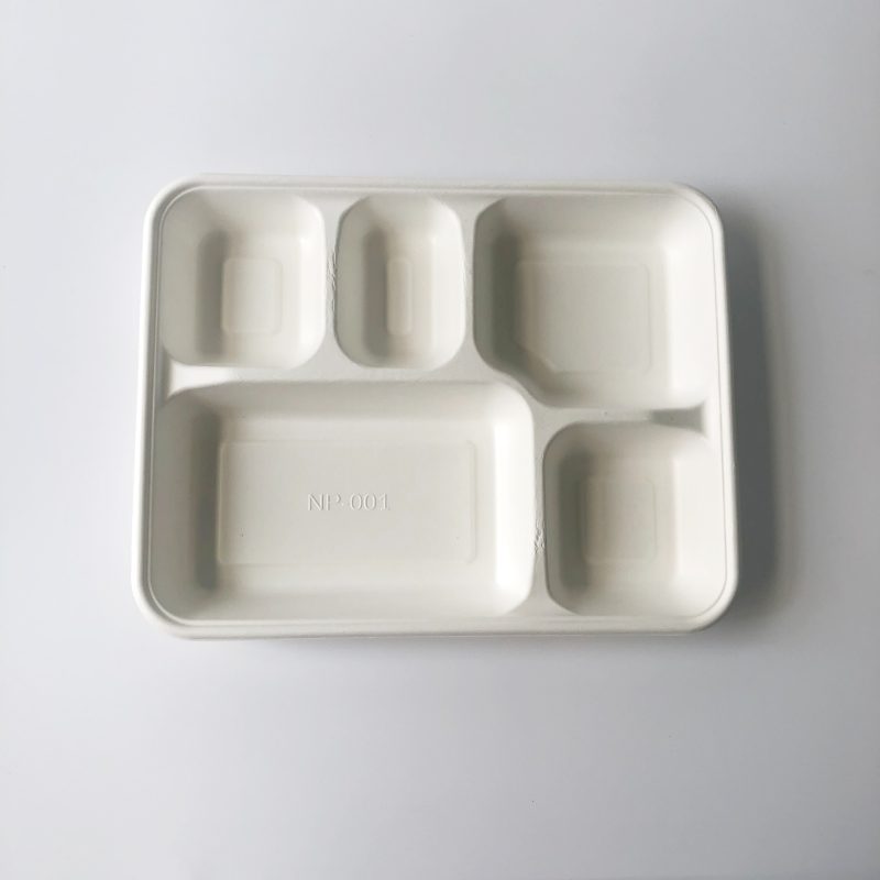 Large 5 Compartment Bagasse Tray